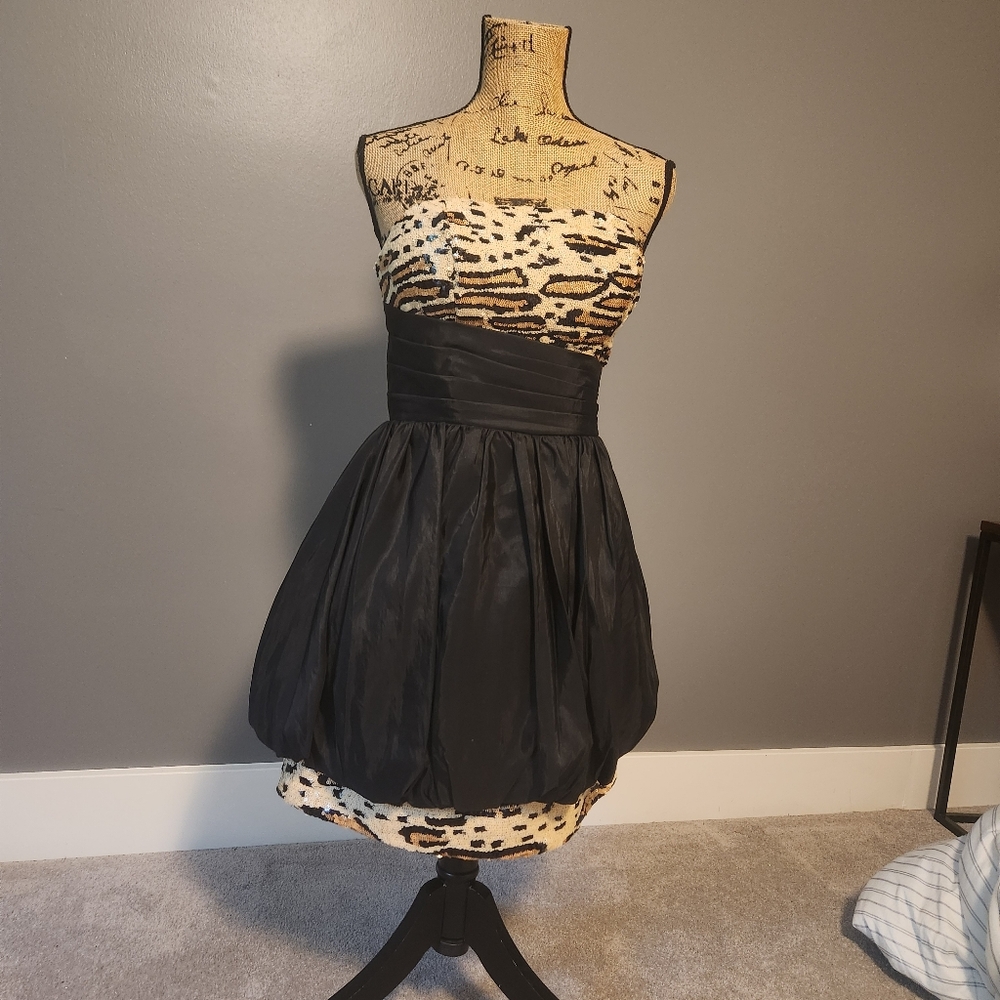 Princess Collection dress